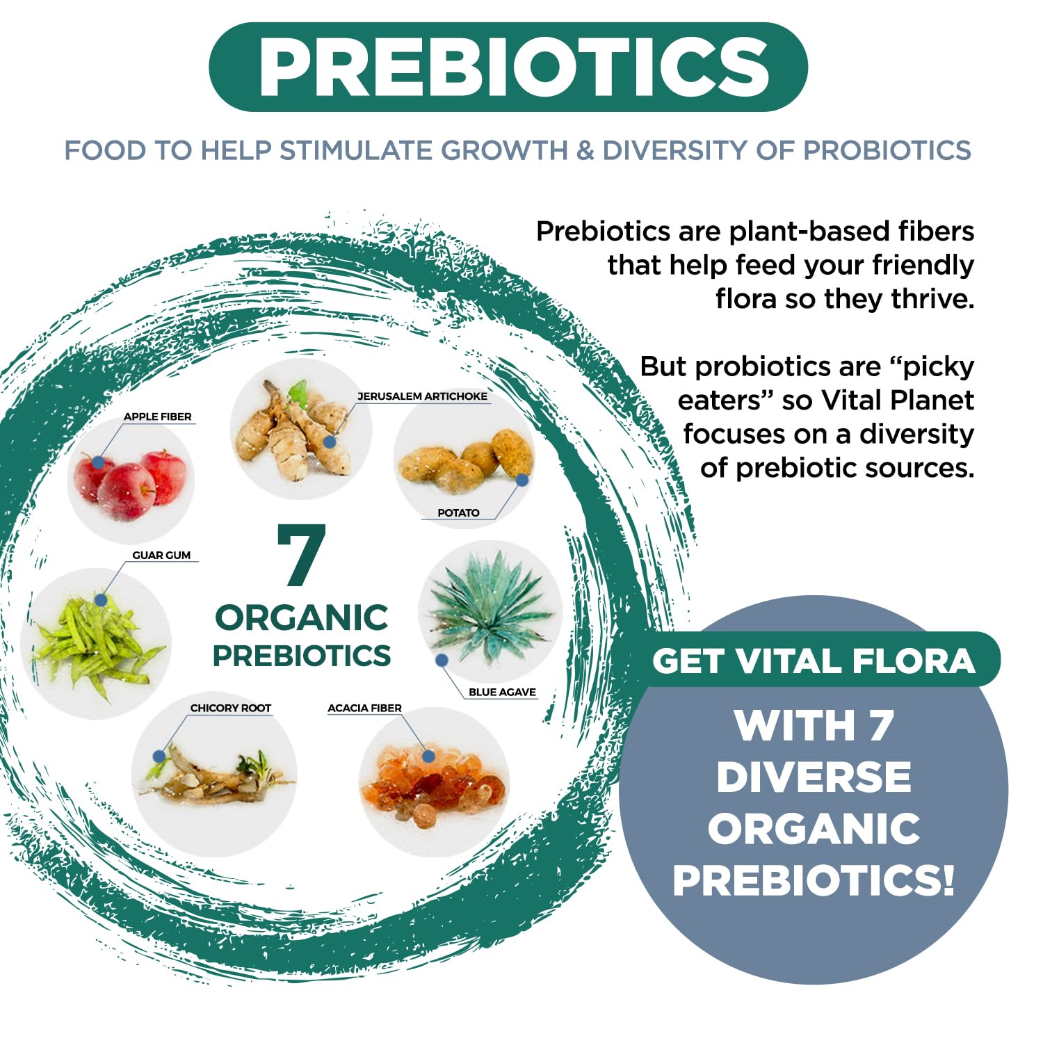 Vital Planet - Vital Flora Ultra Daily Probiotic 60 Billion CFU, Diverse Strains, Organic Prebiotics, Immune Support, Bloating Relief, Digestive Health Probiotics for Women and Men 60 Capsules - OzHealthStandard