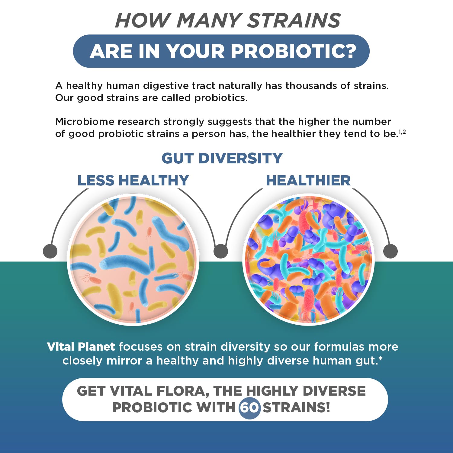 Vital Planet - Vital Flora Ultra Daily Probiotic 60 Billion CFU, Diverse Strains, Organic Prebiotics, Immune Support, Bloating Relief, Digestive Health Probiotics for Women and Men 60 Capsules - OzHealthStandard
