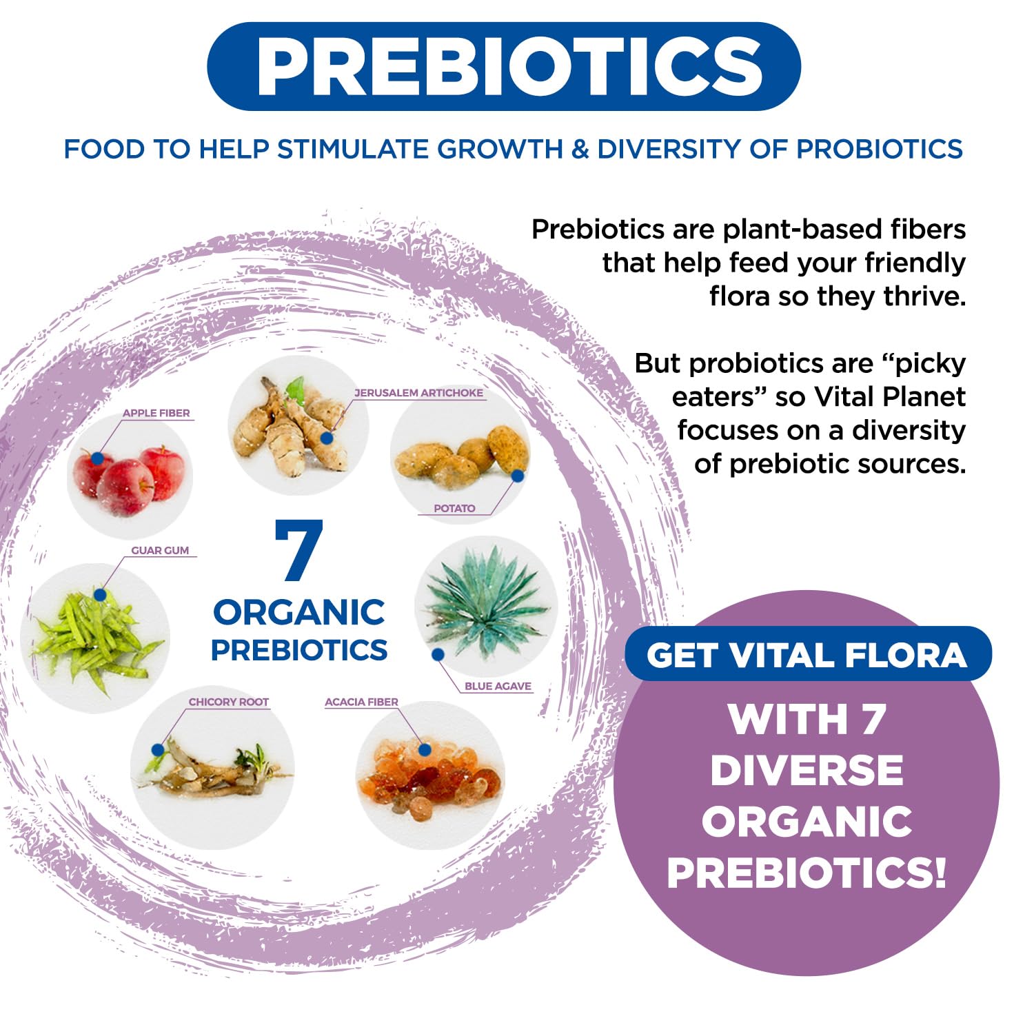 Vital Planet - Vital Flora Women’s Daily Probiotic 60 Billion CFU, 60 Diverse Strains, 7 Organic Prebiotics, Vaginal and Immune Support, Bloating, Digestive Health Probiotics for Women 30 Capsules - OzHealthStandard