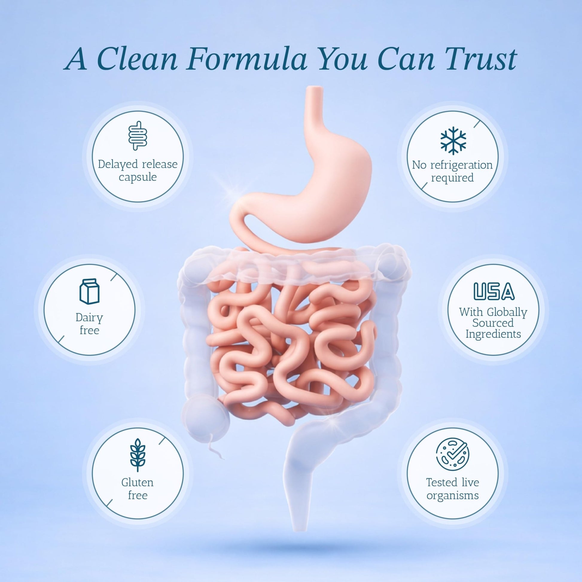 Vitamin Bounty Pro-50 Probiotics 50 Billion CFU for Women & Men - 13 Multi Strain Probiotic + Prebiotic - Digestive Health Supplements for Gut Health Support - Delayed Release Capsules for Men & Women - OzHealthStandard