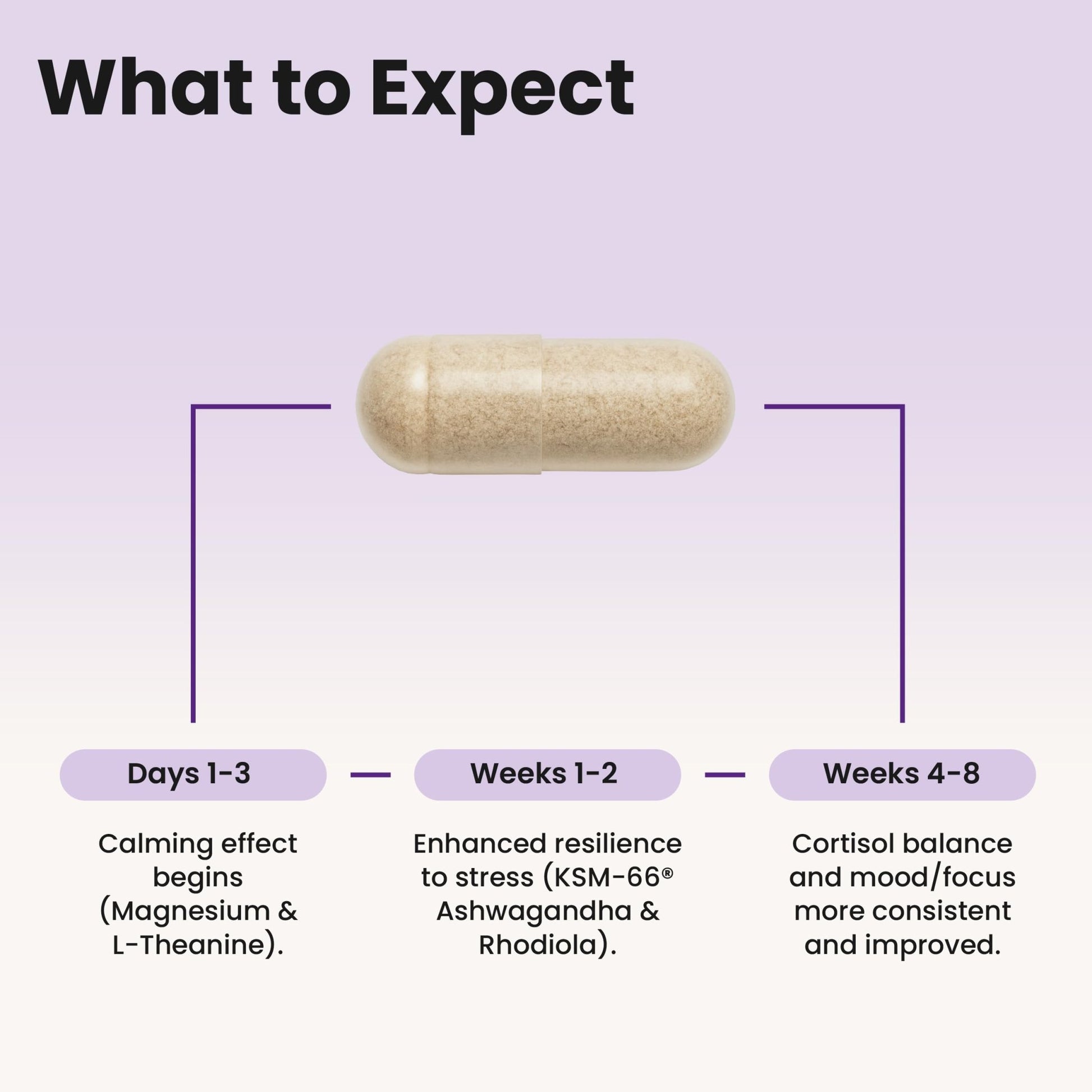 WellPath Soothe Cortisol Manager - Cortisol Supplements for Women with KSM-66® Ashwagandha & L-Theanine - Stress Support, Detox - 11-in-1 Complex, Vegan, Made in USA, Non-GMO, 60 Ct - OzHealthStandard