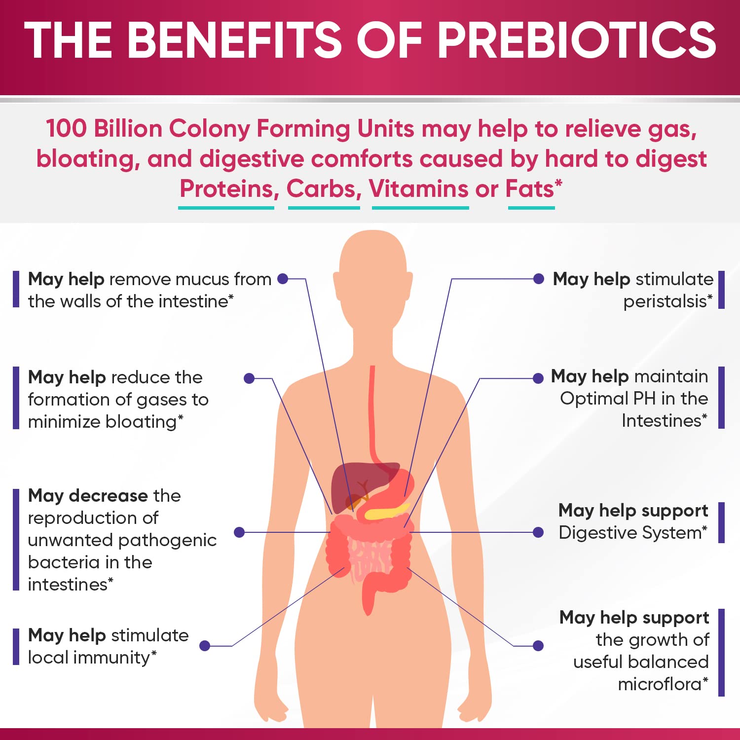 Wholesome Wellness Dr. Formulated Raw Probiotics for Women 100 Billion CFUs Capsules with Prebiotics, Digestive Enzymes - OzHealthStandard