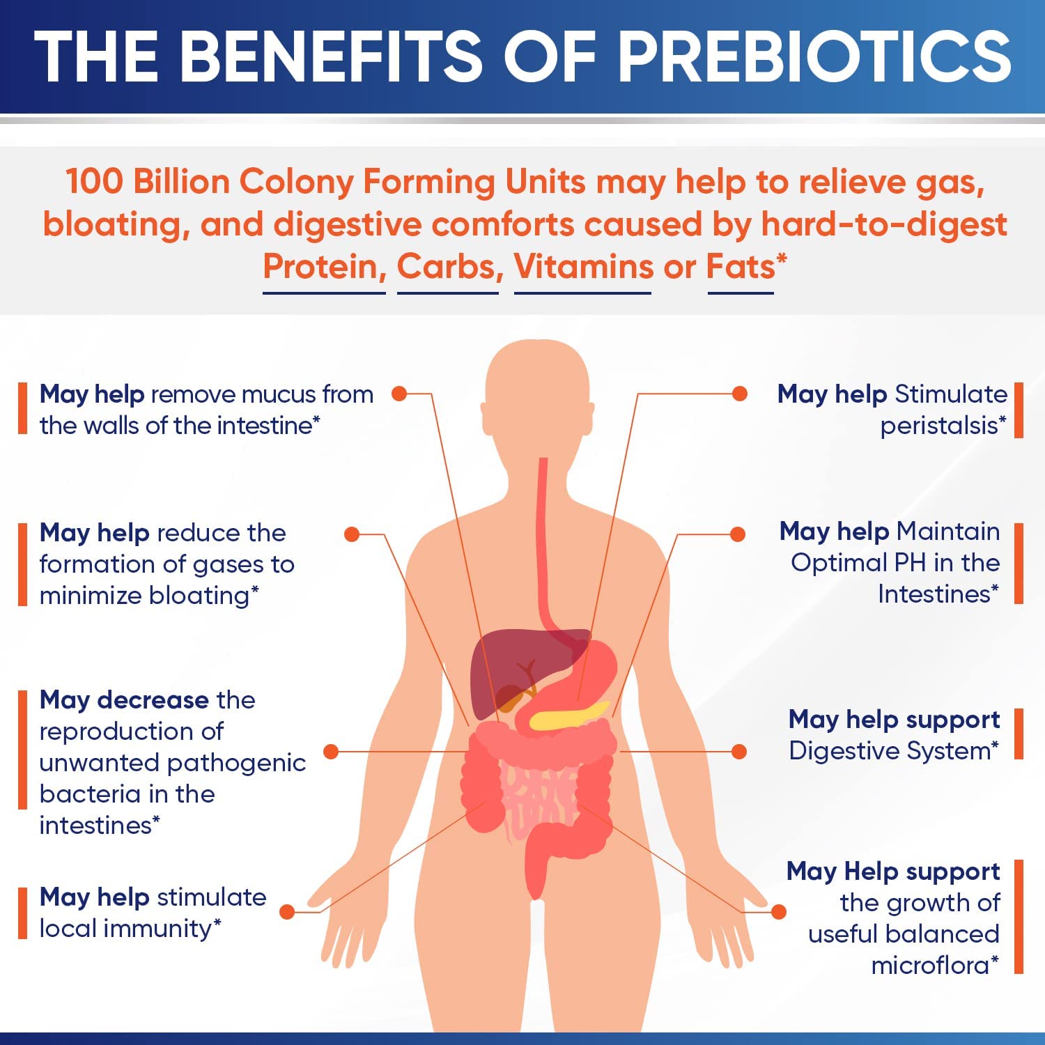 Wholesome Wellness Organic Raw Probiotics 100 Billion CFU, Dr Formulated for Women and Men, Complete Adult Supplement with Prebiotics - OzHealthStandard