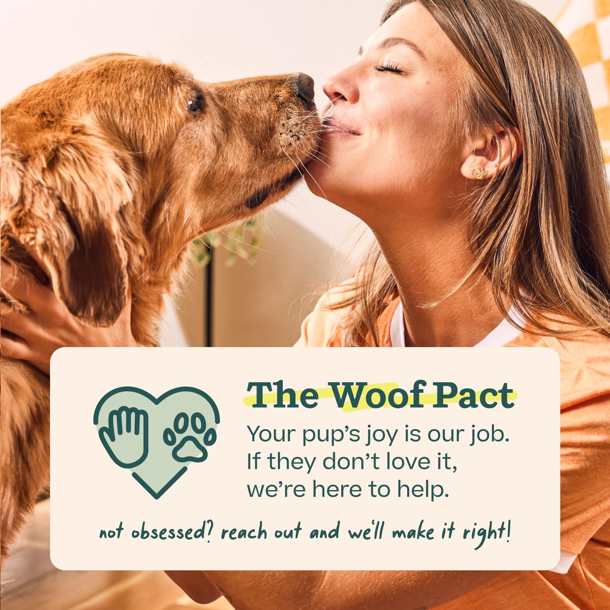 Woof Doggy Dental Pupsicle Mix - Dog Teeth Cleaning Powder for The Pupsicle - Long Lasting Postbiotic Dental Enzyme Mix to Support Oral Health for Dogs - OzHealthStandard