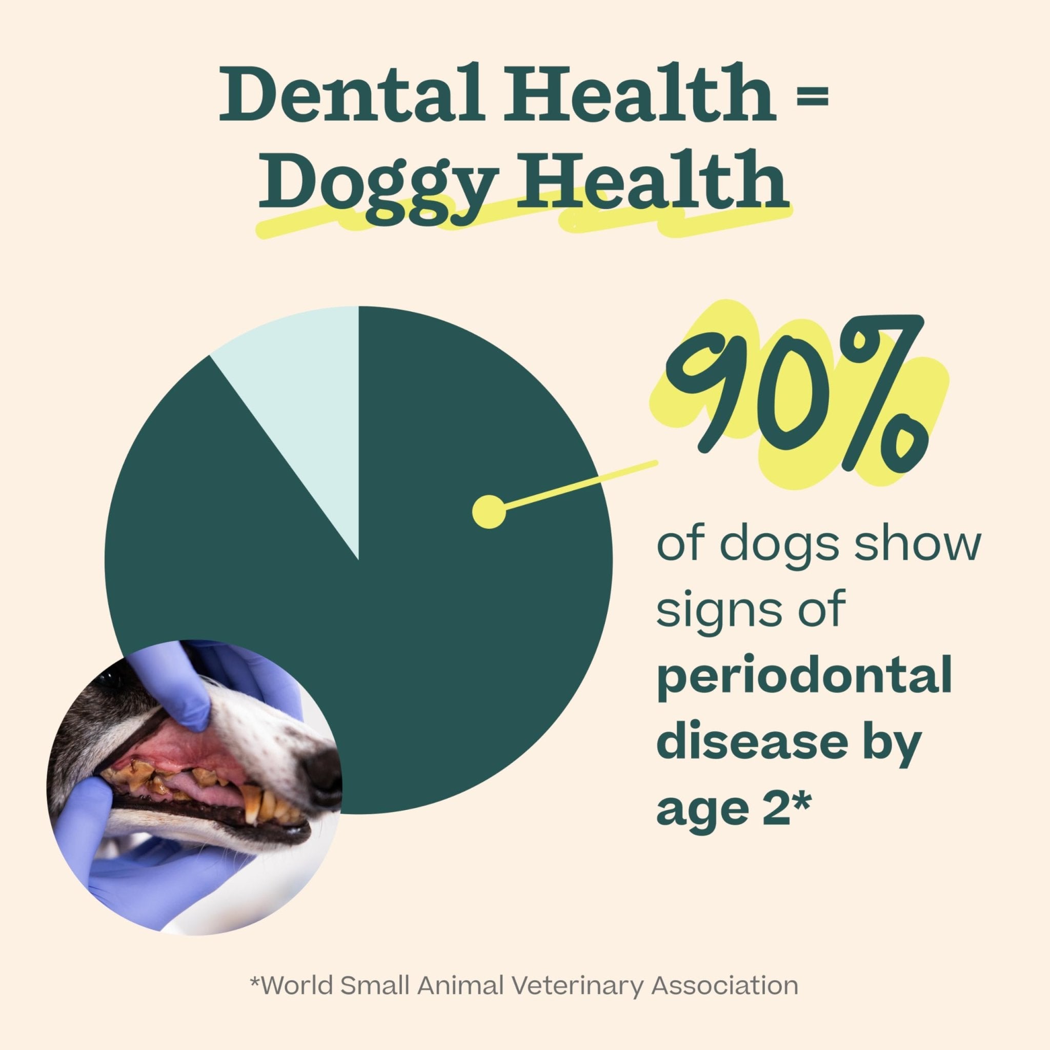 Woof Doggy Dental Pupsicle Mix - Dog Teeth Cleaning Powder for The Pupsicle - Long Lasting Postbiotic Dental Enzyme Mix to Support Oral Health for Dogs - OzHealthStandard