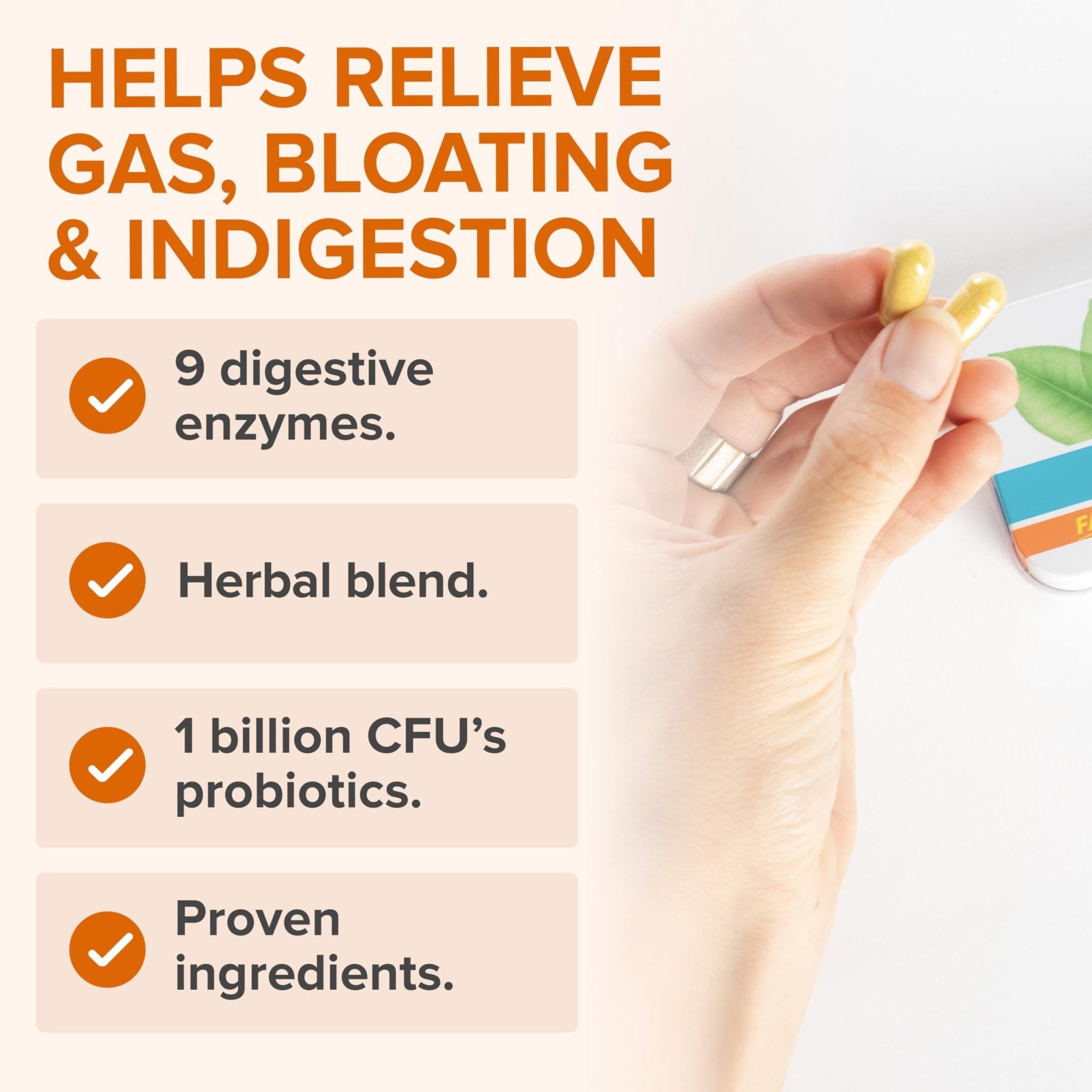 Zenwise Health No Bloat Probiotics for Women and Men Digestive Health with Ginger, Dandelion, and Lactase, Digestive Enzymes for Gas and Bloating Relief - Vegan Water Retention Pills - 14 CT - OzHealthStandard